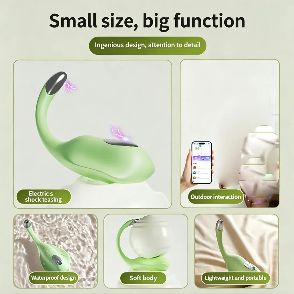 10-Frequency Dual-Head Electric Pulse APP Vibrating Egg