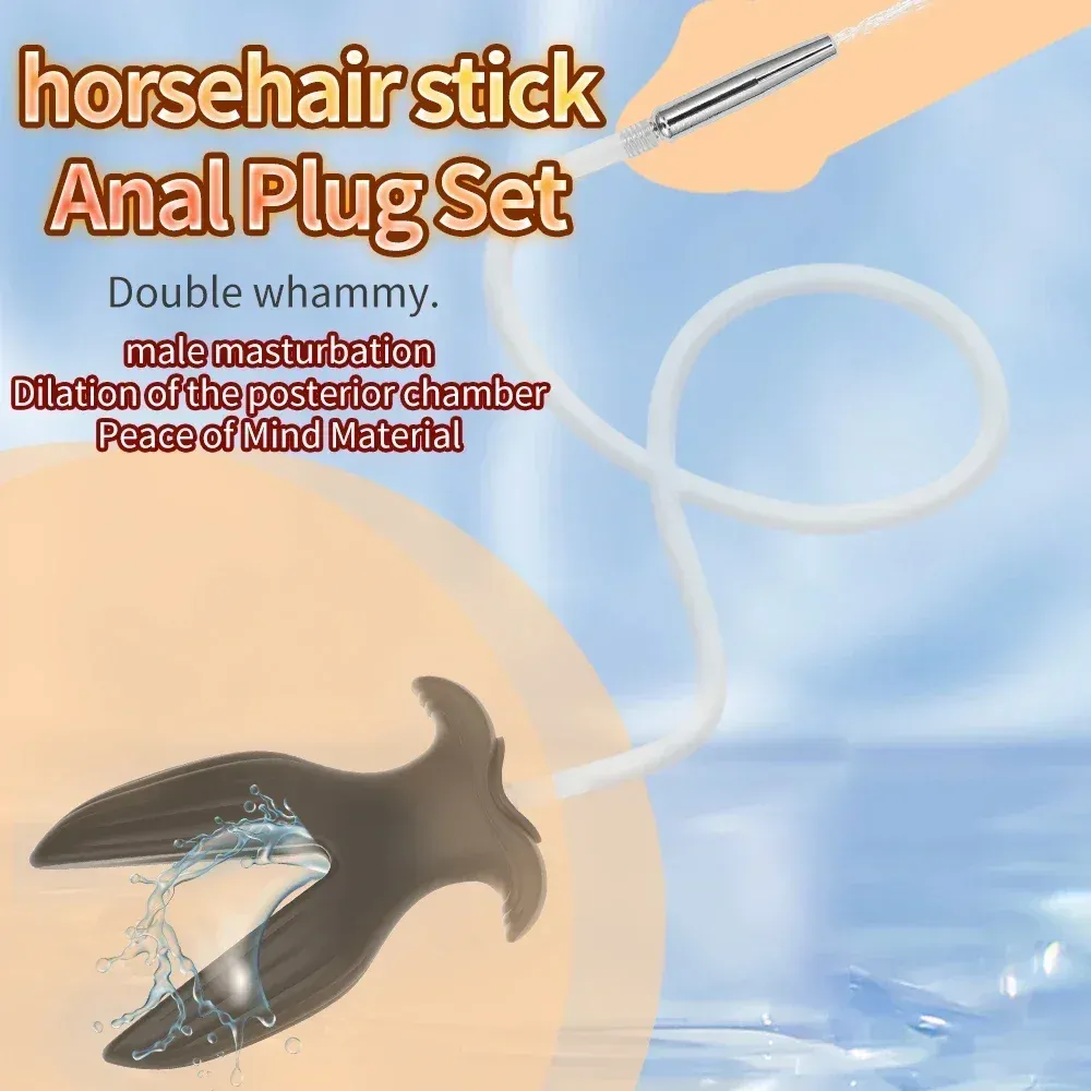 Detachable Urethral Sound & Butt Plug Set Urine Infusion