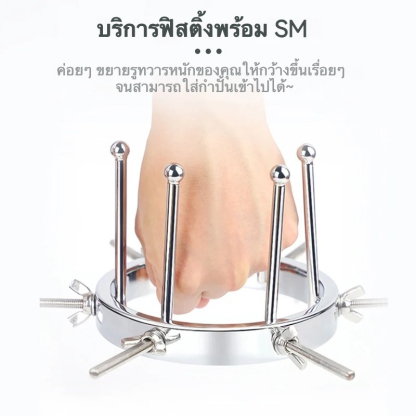 อุปกรณ์ขยายทวาร อุปกรณ์ขยายทางนรีเวชและทวารหนัก สำหรับการศึกษาด้านสรีรวิทยา