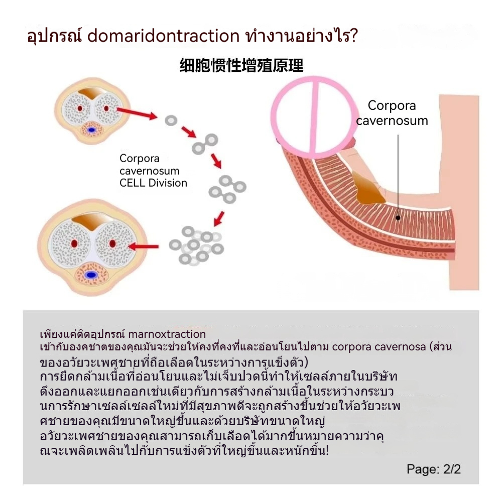 W5805未定价Penis Extender ฝึกยืดขยาย ระบบยืด+แรงดันลบ ปรับระดับแรงยืดได้ตามต้องการ