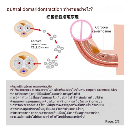 W5805未定价Penis Extender ฝึกยืดขยาย ระบบยืด+แรงดันลบ ปรับระดับแรงยืดได้ตามต้องการ