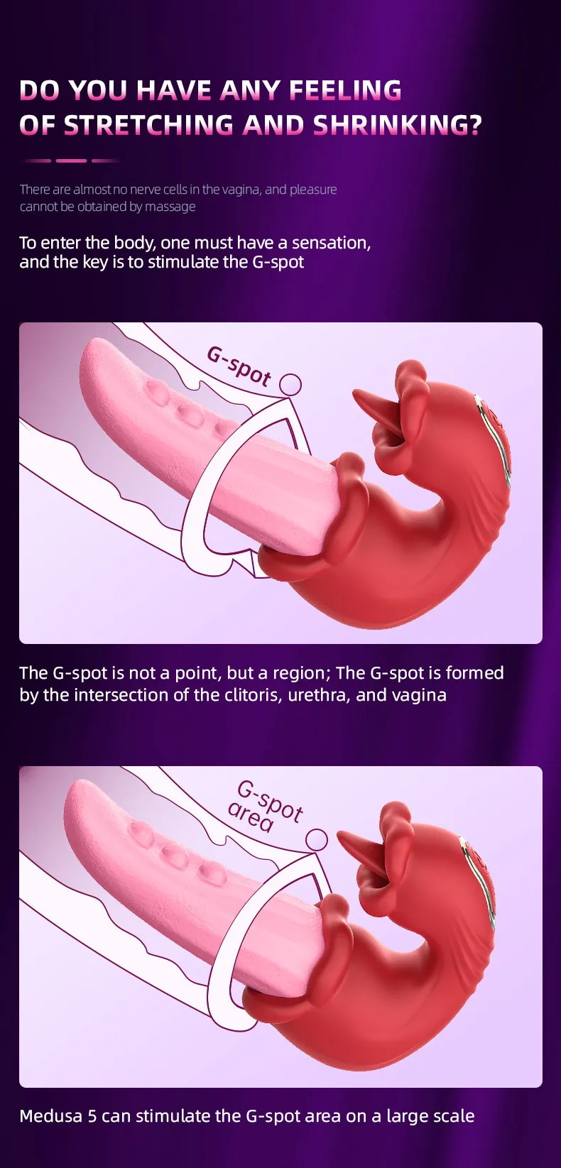 10-Frequency Dual Tongue S-Shaped Curved Vibrator