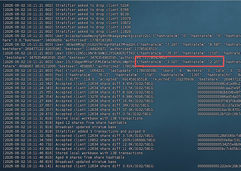 Zyber Blanc BM1373 Miner