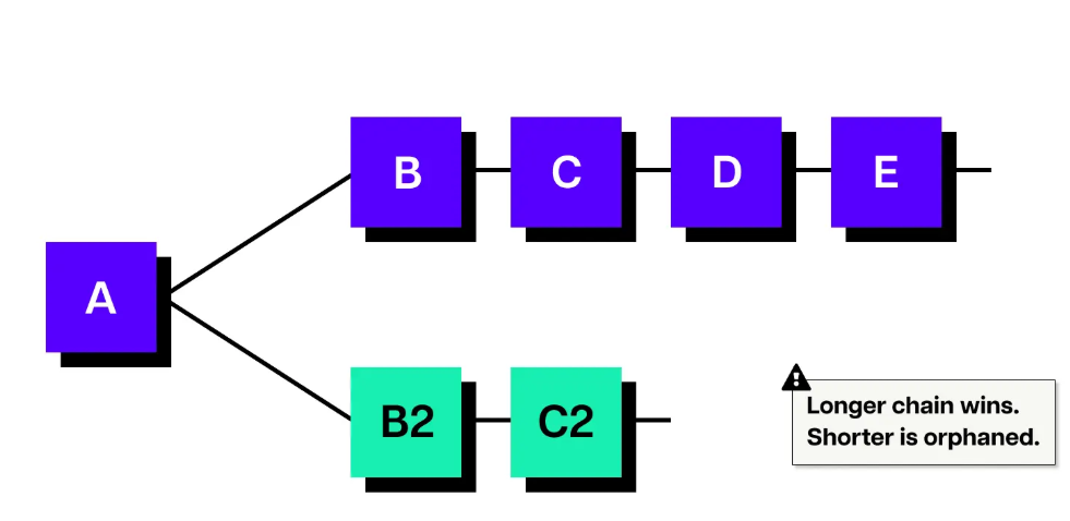 Fork Resolution Diagram