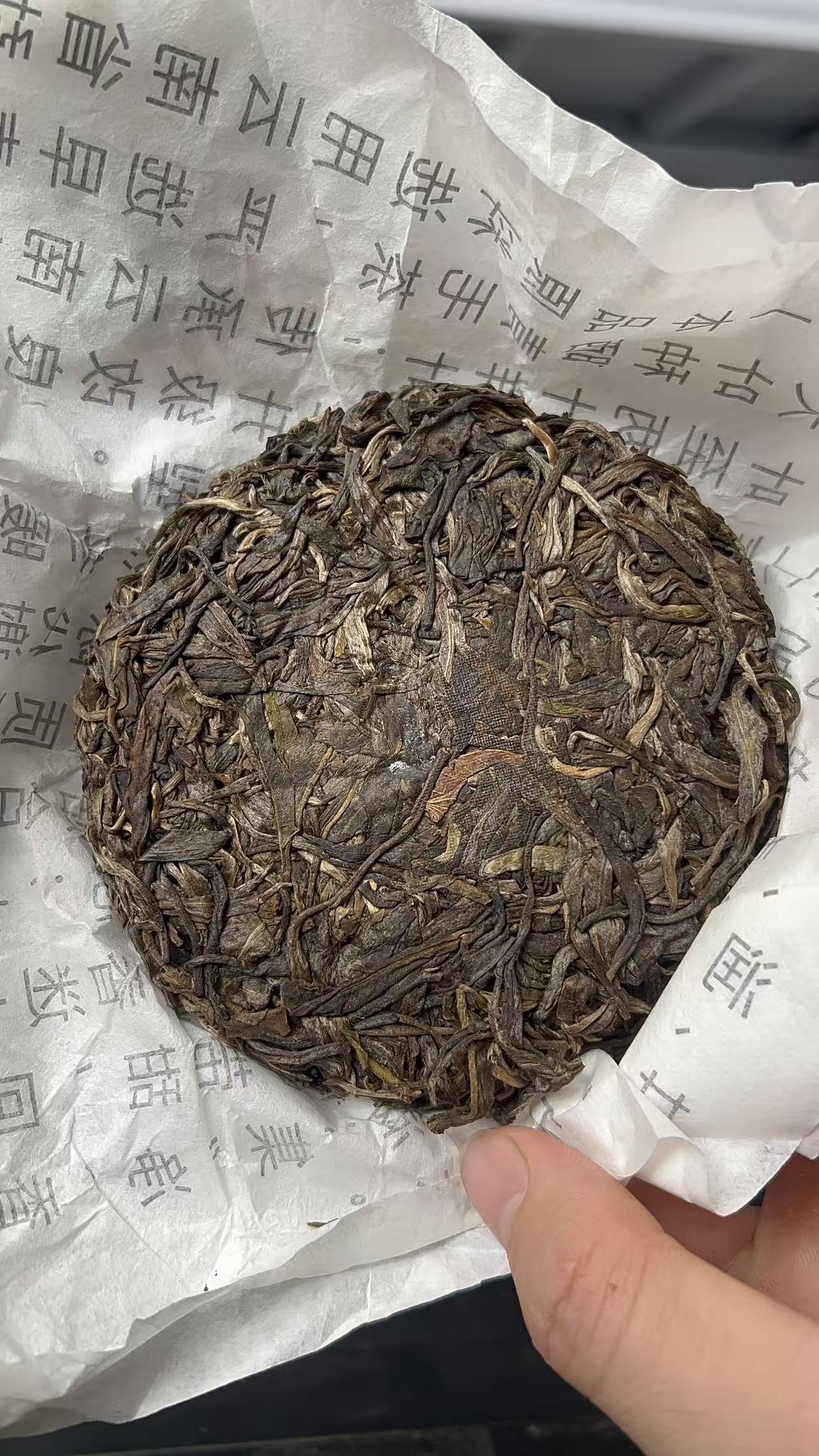 Taste the Time — Bulang Puer Tea That Tells a Story