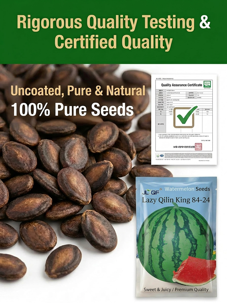 🍉【Peelable Skin & Honey-Sweet】 Emerald Honey Miracle | Fast-Growing 60-Day Watermelon with Antioxidant Superfood Powers ✨