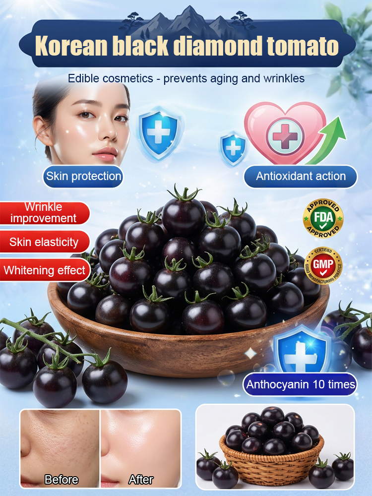 🍅 Get "Black Pearl" Super-Antioxidant Tomatoes for the Price of a Salad! Yale-Developed Rare Hybrid—Grows 50x Healthier than Blueberries in Any Soil. 🍅