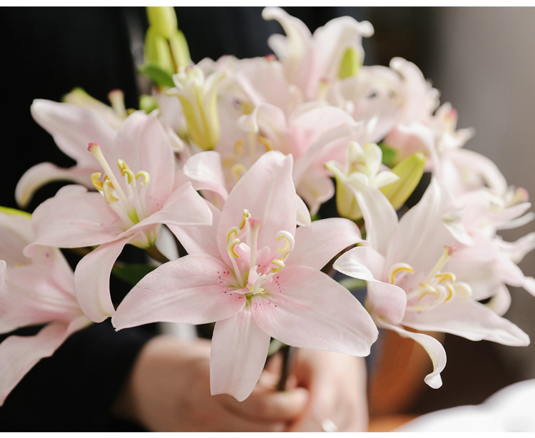 🌸 [Fragrance Queen] Stop buying chemical air fresheners andgrow a stunning 30-day fragrant flower wall with our hardy North African giant lily bulbs - Buy 5 Get 5 FREE! ✨