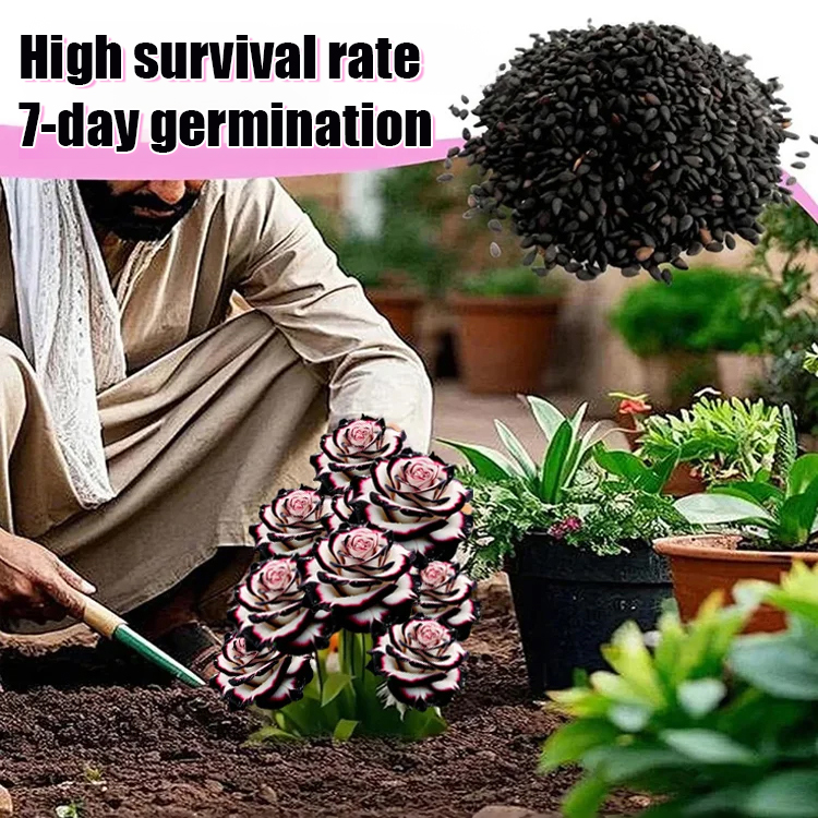 🔥 [100% Germination Rate] Grow 10+ Roses Per Stem in Just 20 Days! 🌹 Rare Spotted "Blooming Machine" – Turn Your Yard Into a Sea of Flowers Fast! ✨
