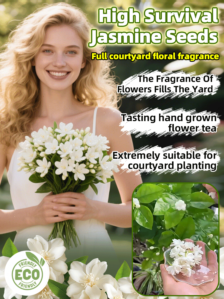 For the price of a few burgers 🍔 turn your backyard into "God’s Perfume" waterfall—Blooms in 60 days & thrives from freezing winters to scorching sun! ✨
