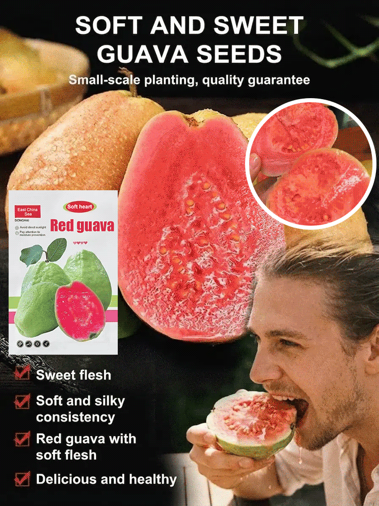 【Rare Seeds】Premium Red Ruby Guava | 98% Germination & Fruits in Year 1 (Price of a Burger!)