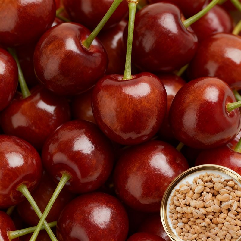✨<Harvest 110 lbs per Tree> Rare German "Ruby Wonder" Cherry: Grow Ping-Pong Sized, Honey-Sweet Fruits in Any Soil! ✨