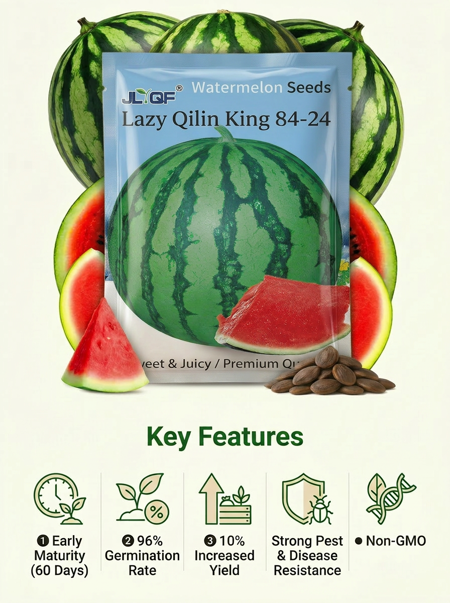 Updated Image - Key Features New Package.png