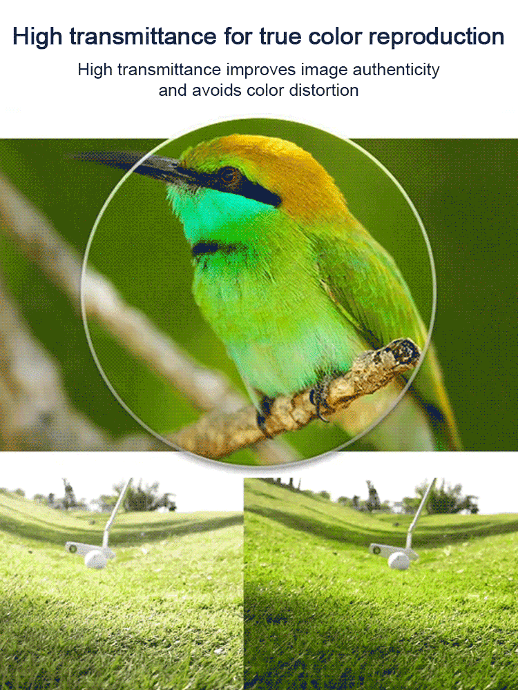 For The Price Of A Meal: Throw Away Your Useless Glasses & Try These Auto-Focus Readers! 