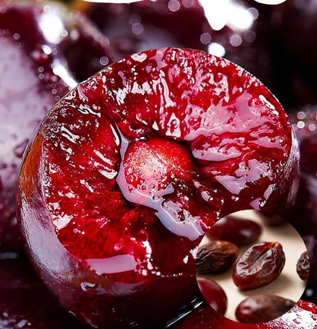 ✨ For the Price of a Few Burgers: Harvest Giant, 4J-Grade Cherries Right from Your Balcony. Beginner-Proof & Fast-Growing! ✨