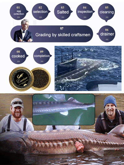 Fresher Than Any Restaurant! 🌊 Imported Deep-Sea Sturgeon Caviar for the price of a single meal! 🍽️