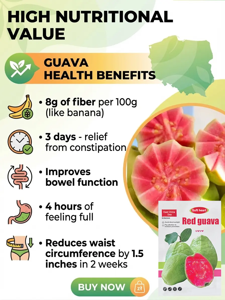 【Rare Seeds】Premium Red Ruby Guava | 98% Germination & Fruits in Year 1 (Price of a Burger!)