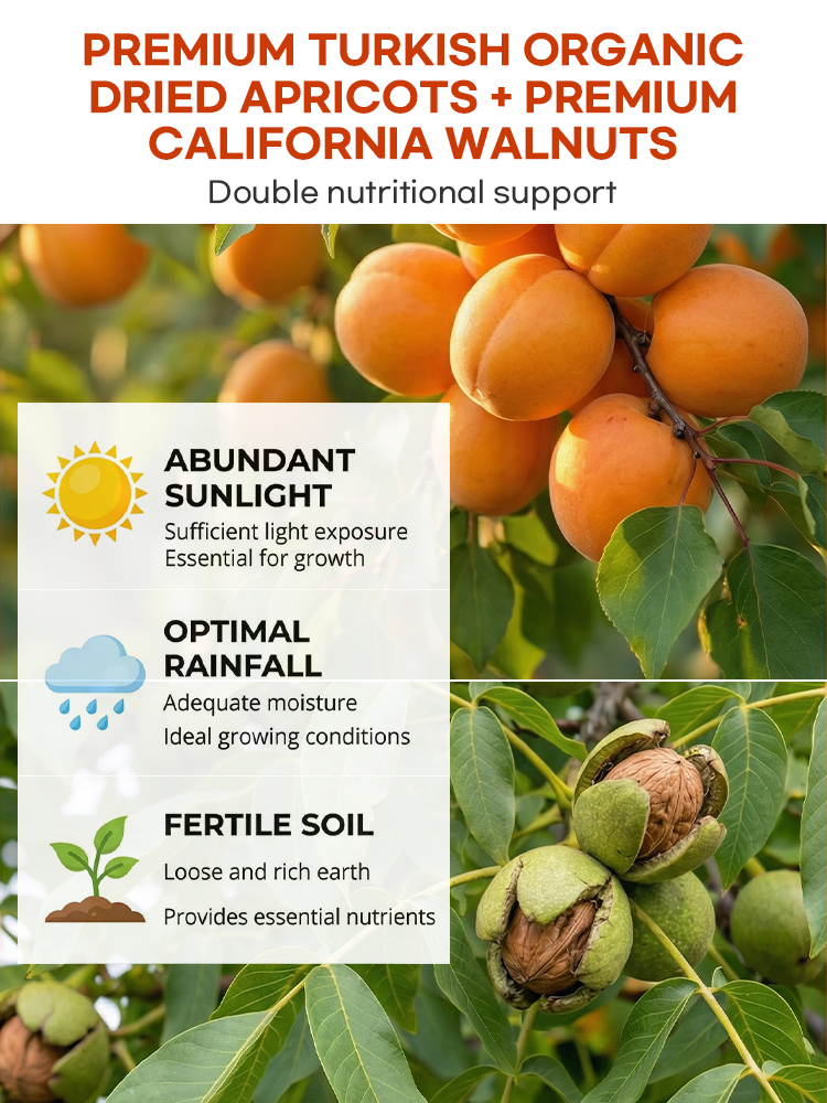 🌟 [Nature's Candy] Turkish Golden Apricots Stuffed with Roasted Walnuts for Heart Health - LIMITED 2 MONTH HARVEST