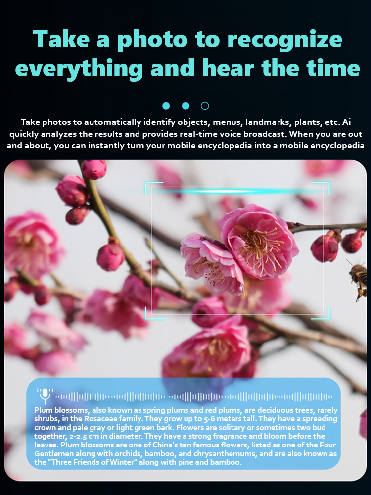 💝The AI Smart Glasses for Live In-Vision Translation& Instant POV Capture – Stop Missing Words and Moments💝