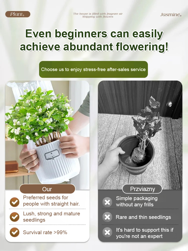 For the price of a few burgers 🍔 turn your backyard into a fragrant flower waterfall—Blooms in 60 days, survives -20°F winters & 99% germination guaranteed! ✨