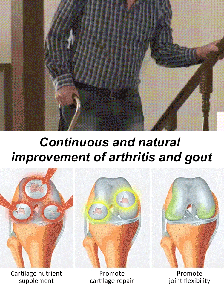 ✨<Harvest 110 lbs per Tree> Rare German "Ruby Wonder" Cherry: Grow Ping-Pong Sized, Honey-Sweet Fruits in Any Soil! ✨