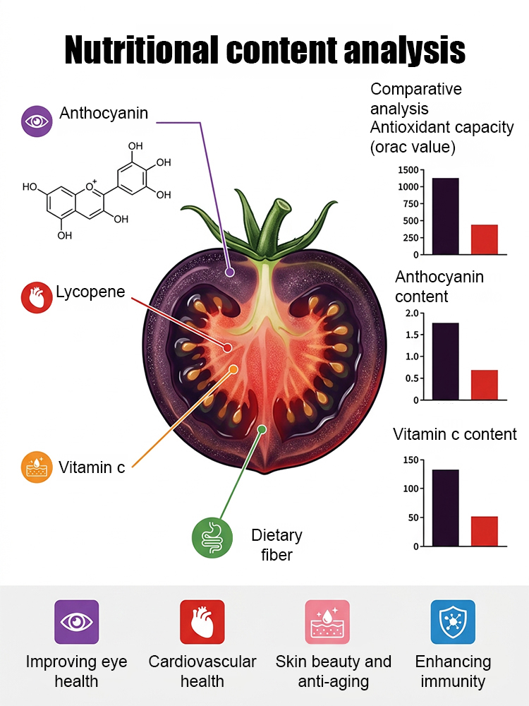 🍅 Get "Black Pearl" Super-Antioxidant Tomatoes for the Price of a Salad! Yale-Developed Rare Hybrid—Grows 50x Healthier than Blueberries in Any Soil. 🍅