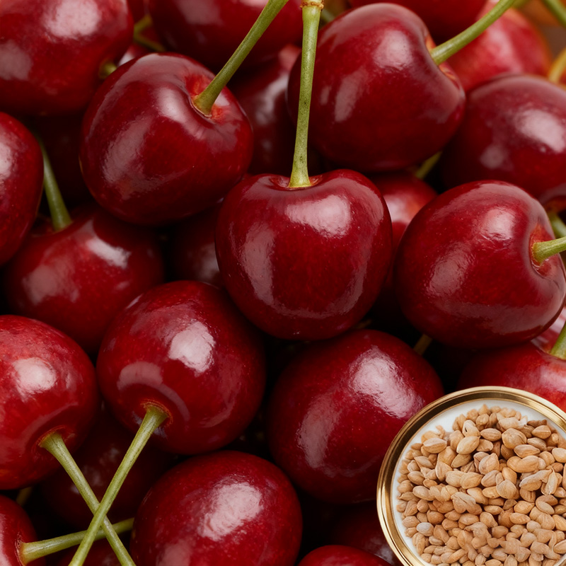 ✨<Harvest 110 lbs per Tree> Rare German "Ruby Wonder" Cherry: Grow Ping-Pong Sized, Honey-Sweet Fruits in Any Soil! ✨