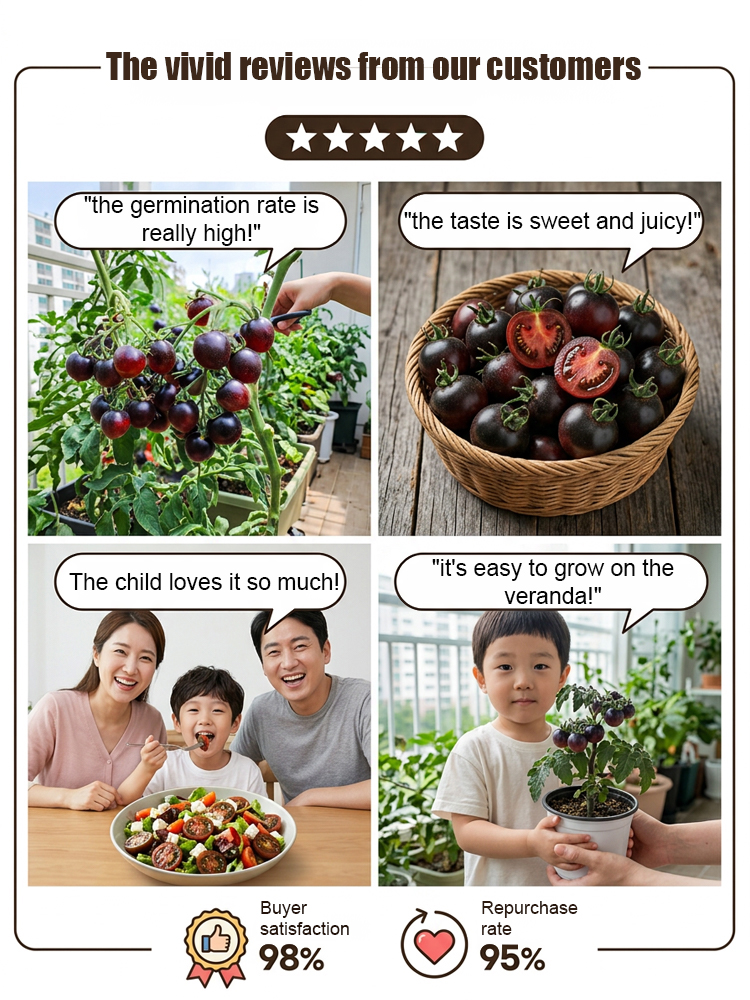 🍅 Get "Black Pearl" Super-Antioxidant Tomatoes for the Price of a Salad! Yale-Developed Rare Hybrid—Grows 50x Healthier than Blueberries in Any Soil. 🍅