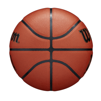 NBA Forge Basketball