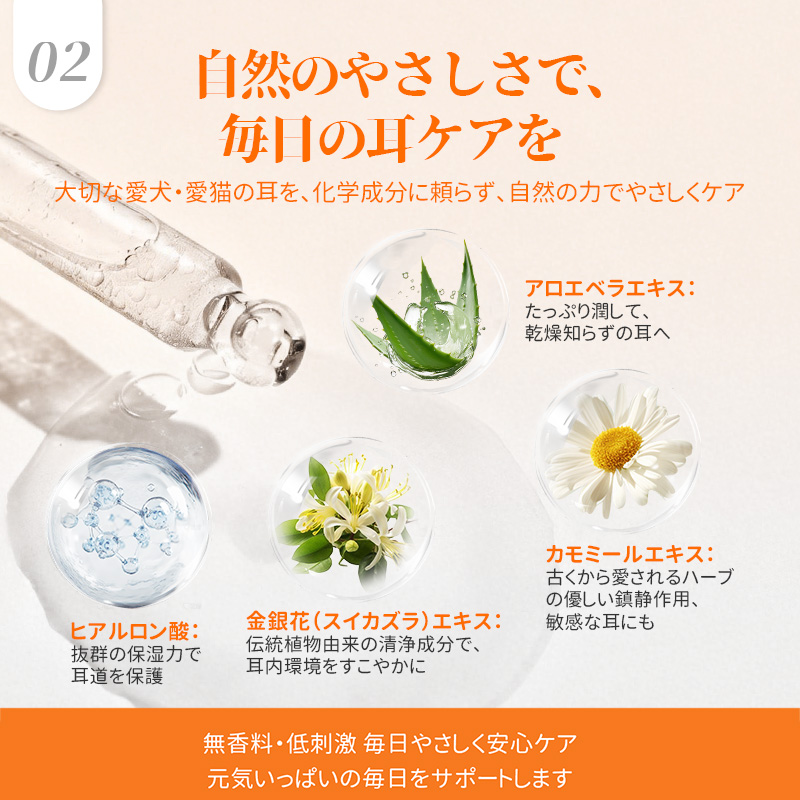 プアインタ 量子銀イヤードロップ