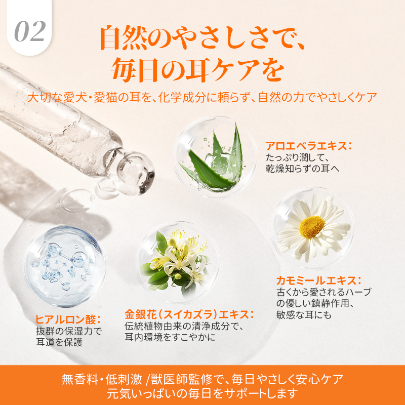 プアインタ 量子银イヤードロップ