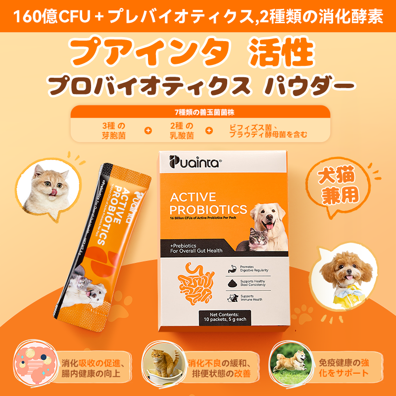 プアインタ活性プロバイオティクス パウダー