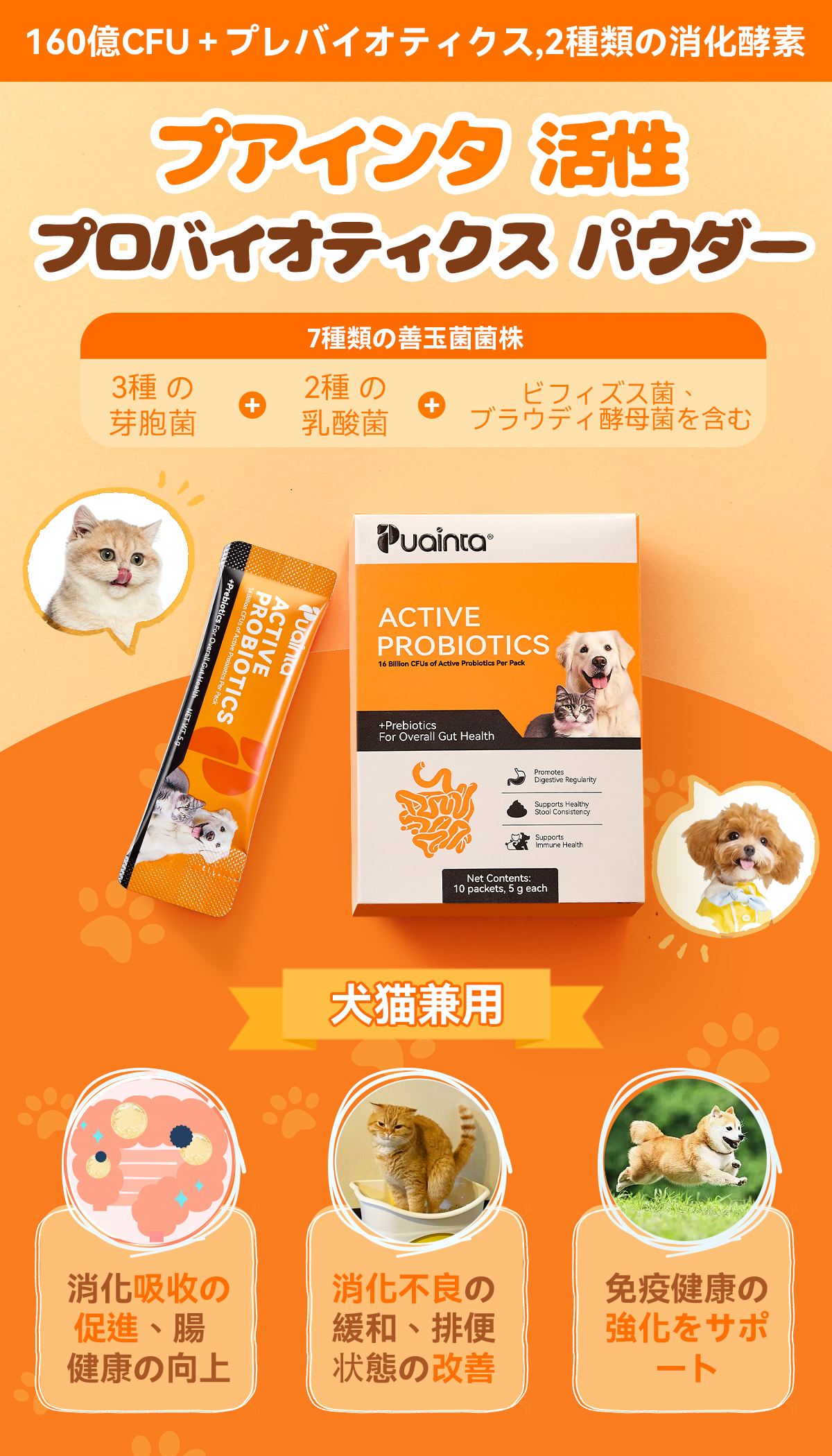 プアインタ活性プロバイオティクス パウダー