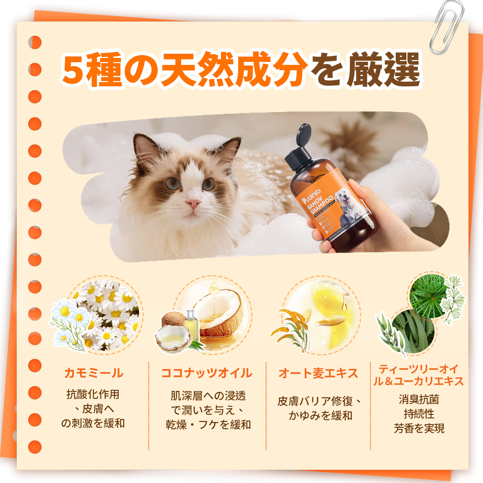 プアインタ Banov シャンプー