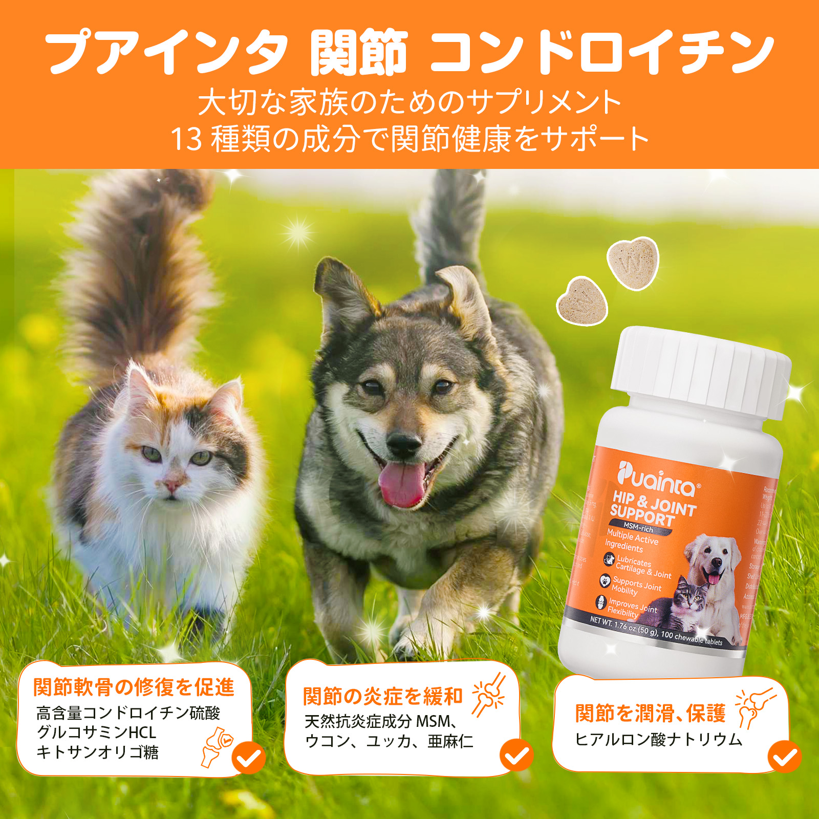 プアインタ 関節 コンドロイチン