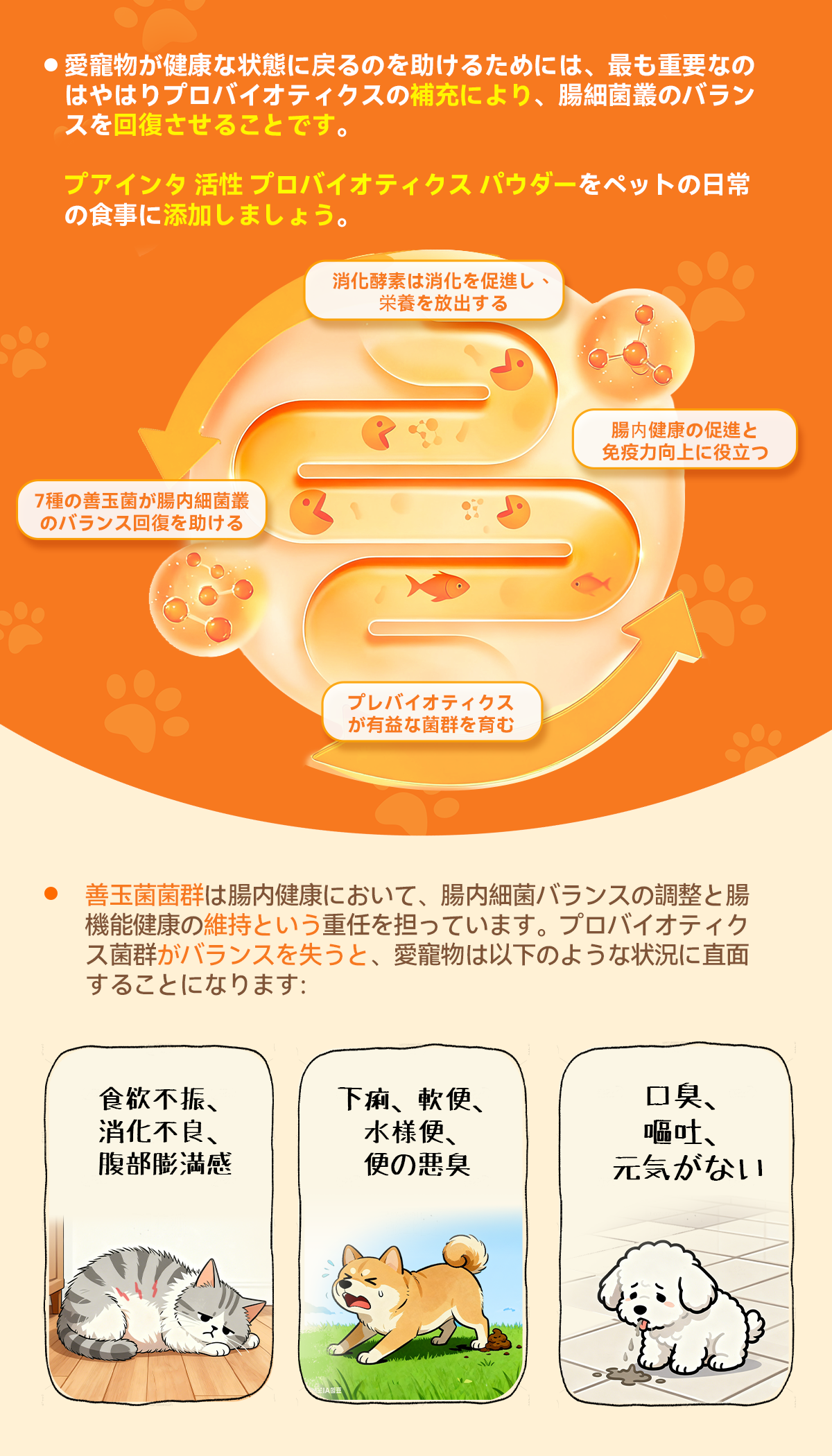 プアインタ活性プロバイオティクス パウダー