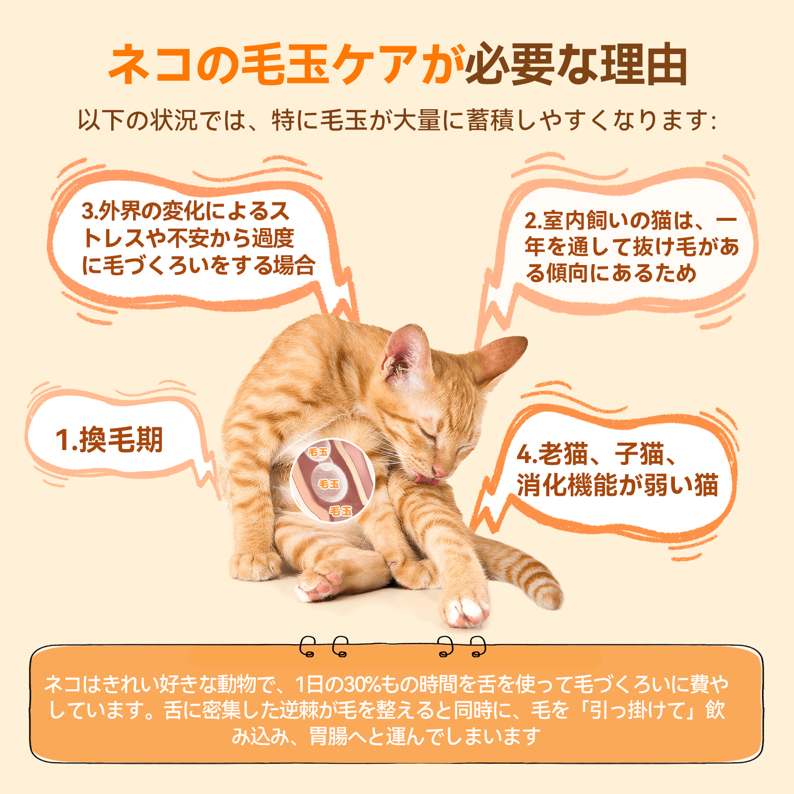 プアインタ 猫用毛玉ケアタブレット 吐き戻し・便秘・食欲低下に 酵素分解×植物繊維のWアプローチ 小粒で与えやすい 獣医師監修