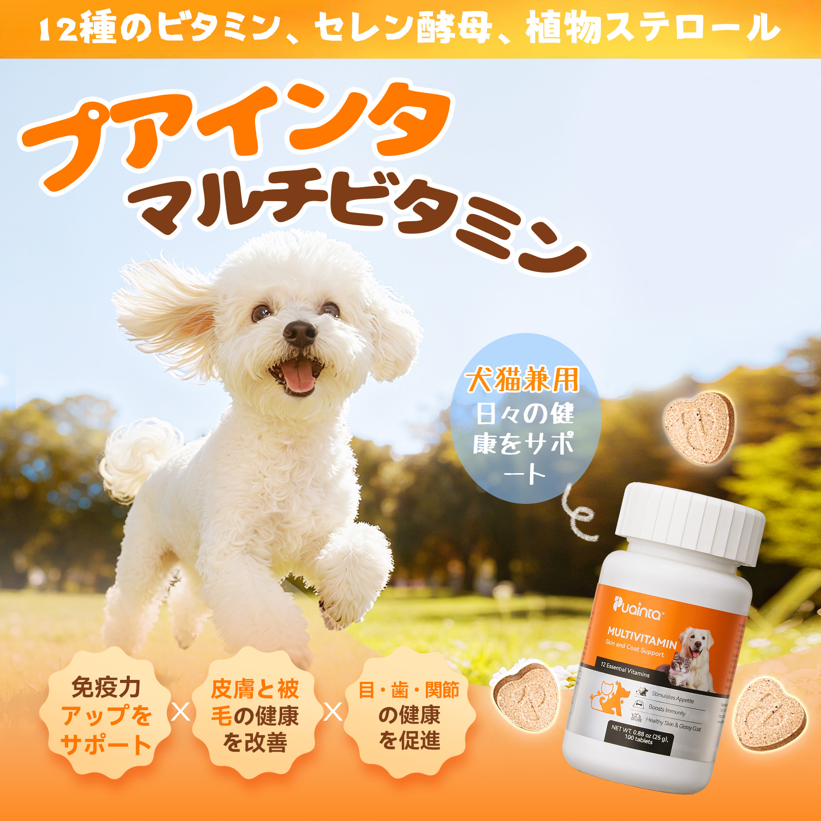 プアインタ マルチビタミン