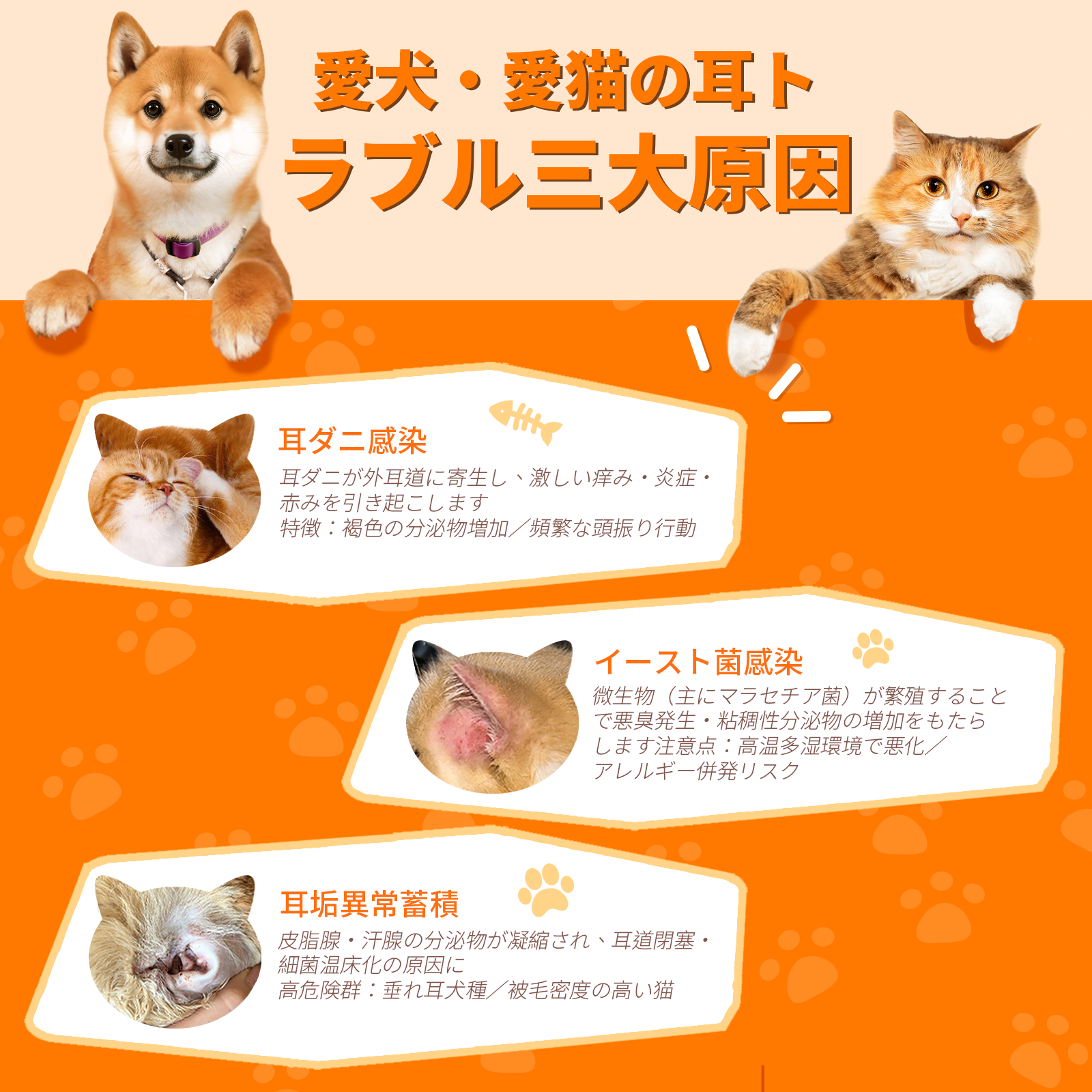 プアインタ 量子银イヤードロップ