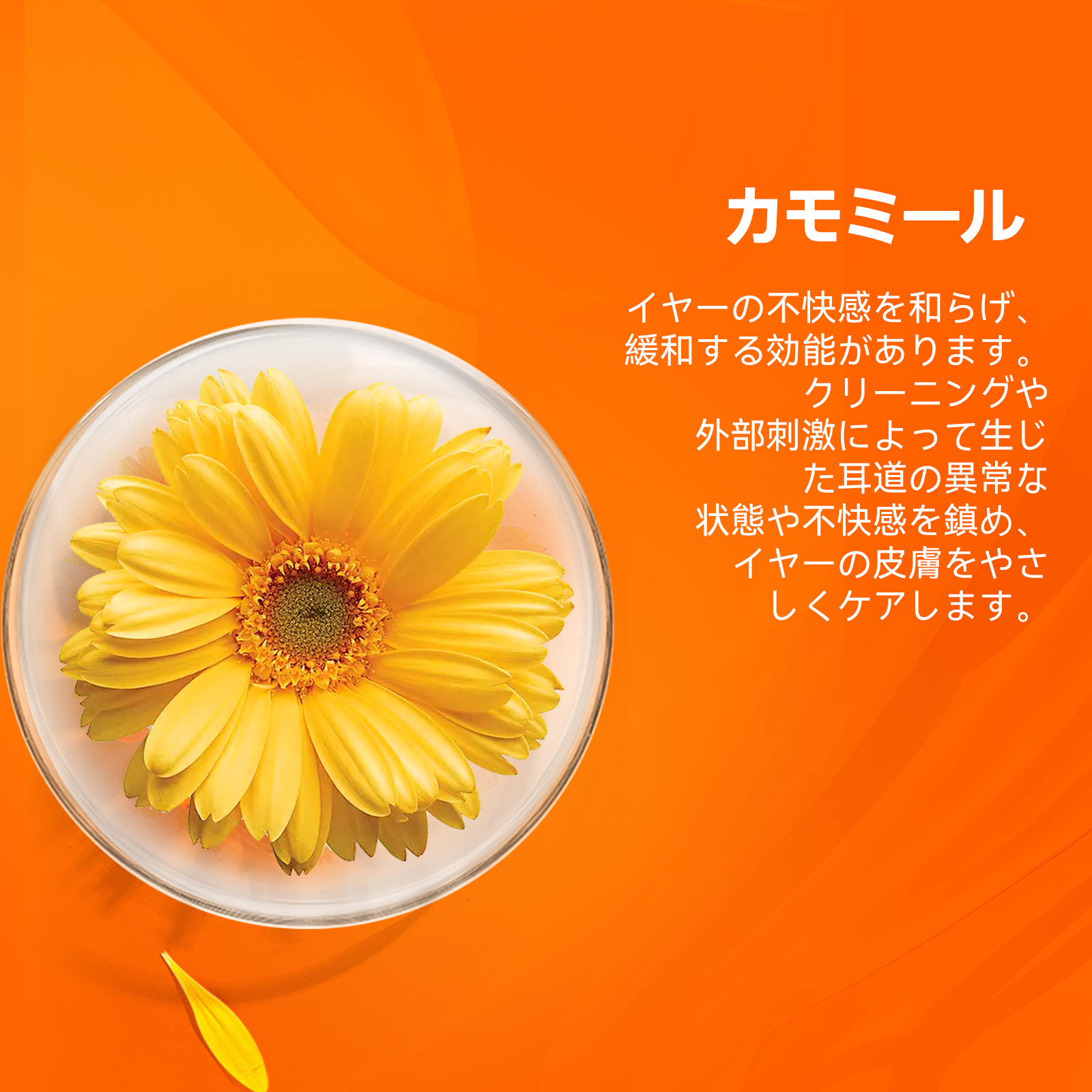 プアインタ イヤークリーナー やさしい耳ケア（犬猫用）