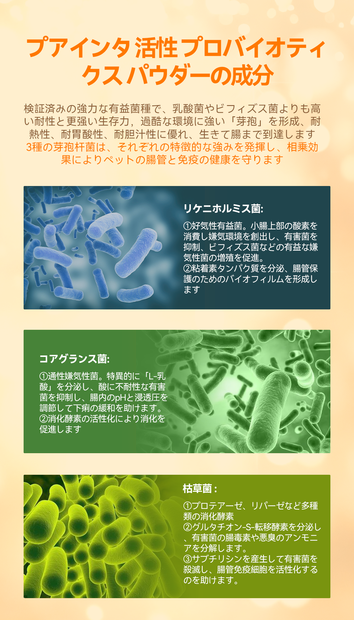 プアインタ活性プロバイオティクス パウダー