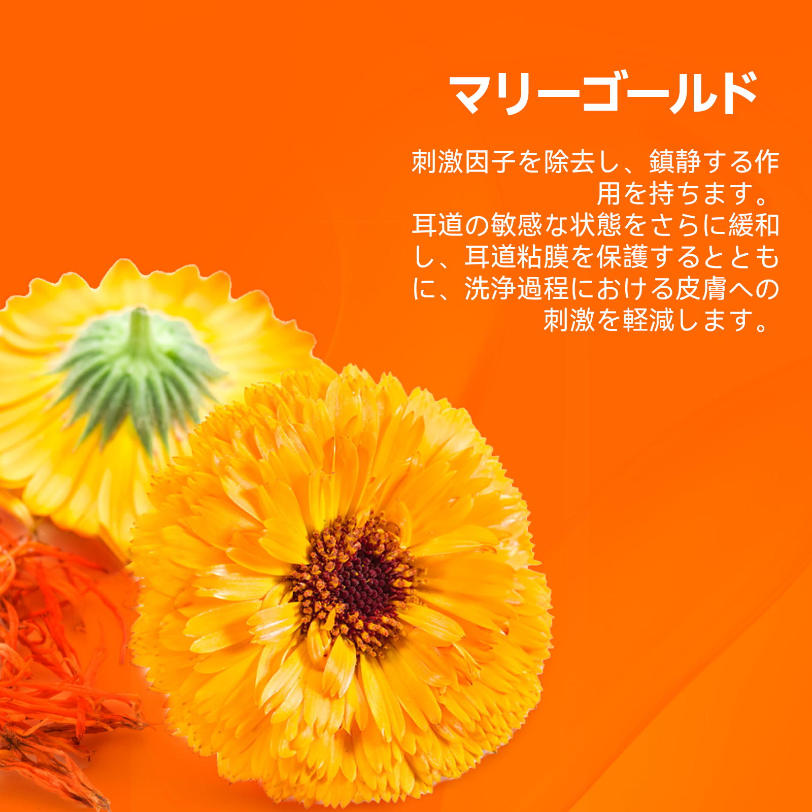 プアインタ イヤークリーナー やさしい耳ケア（犬猫用）