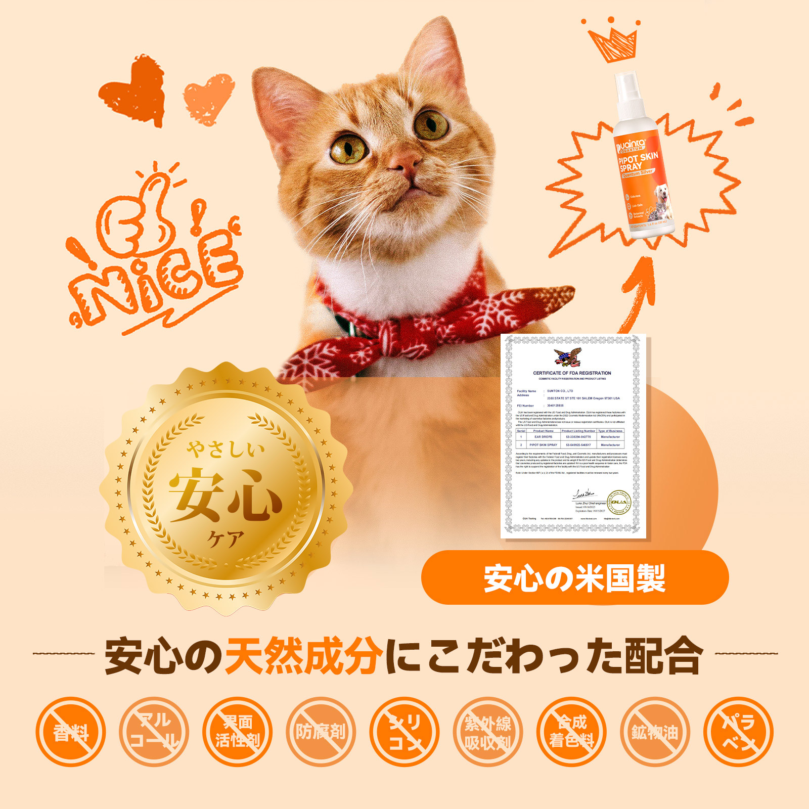 プアインタ 量子銀スキンケアスプレー
