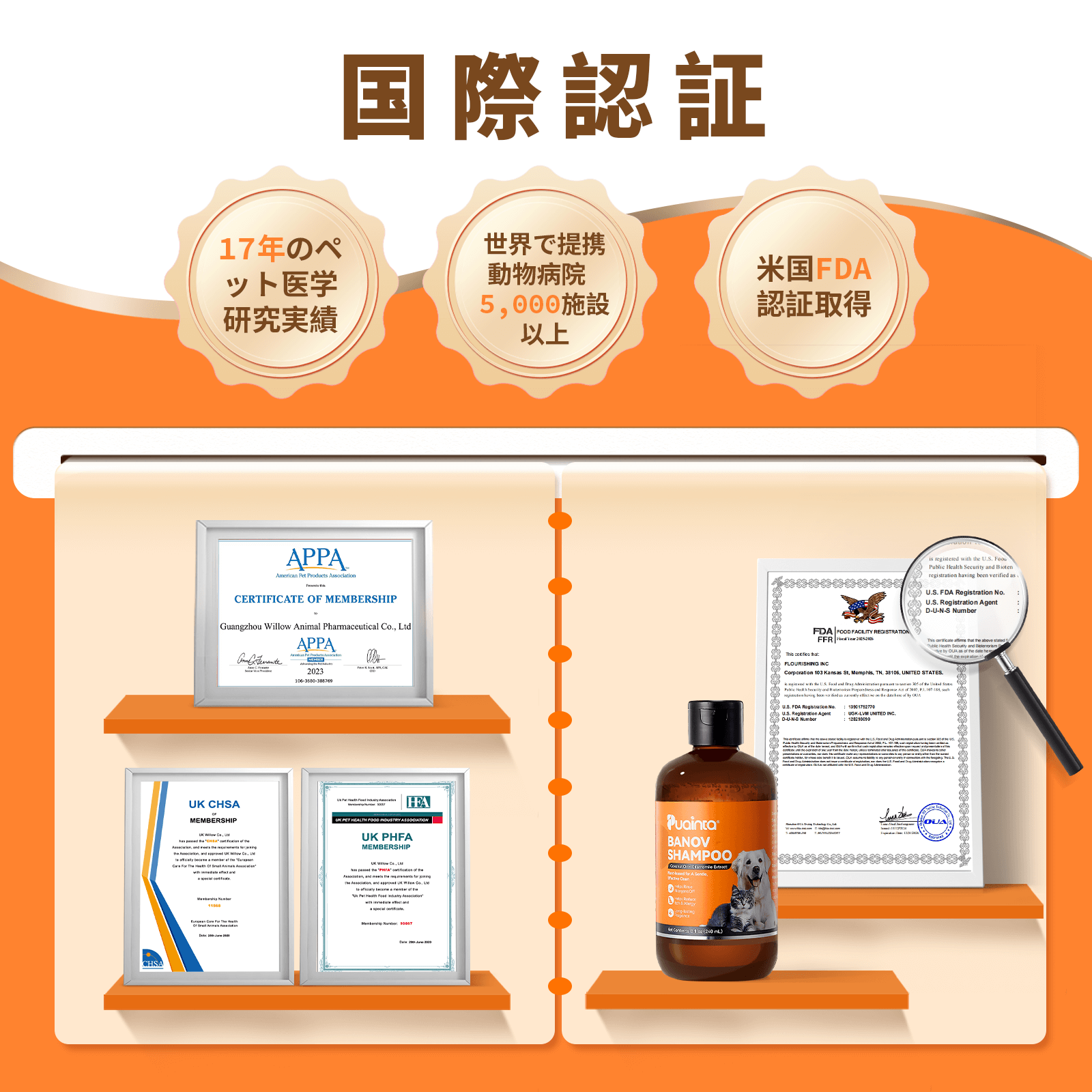 プアインタ Banov シャンプー