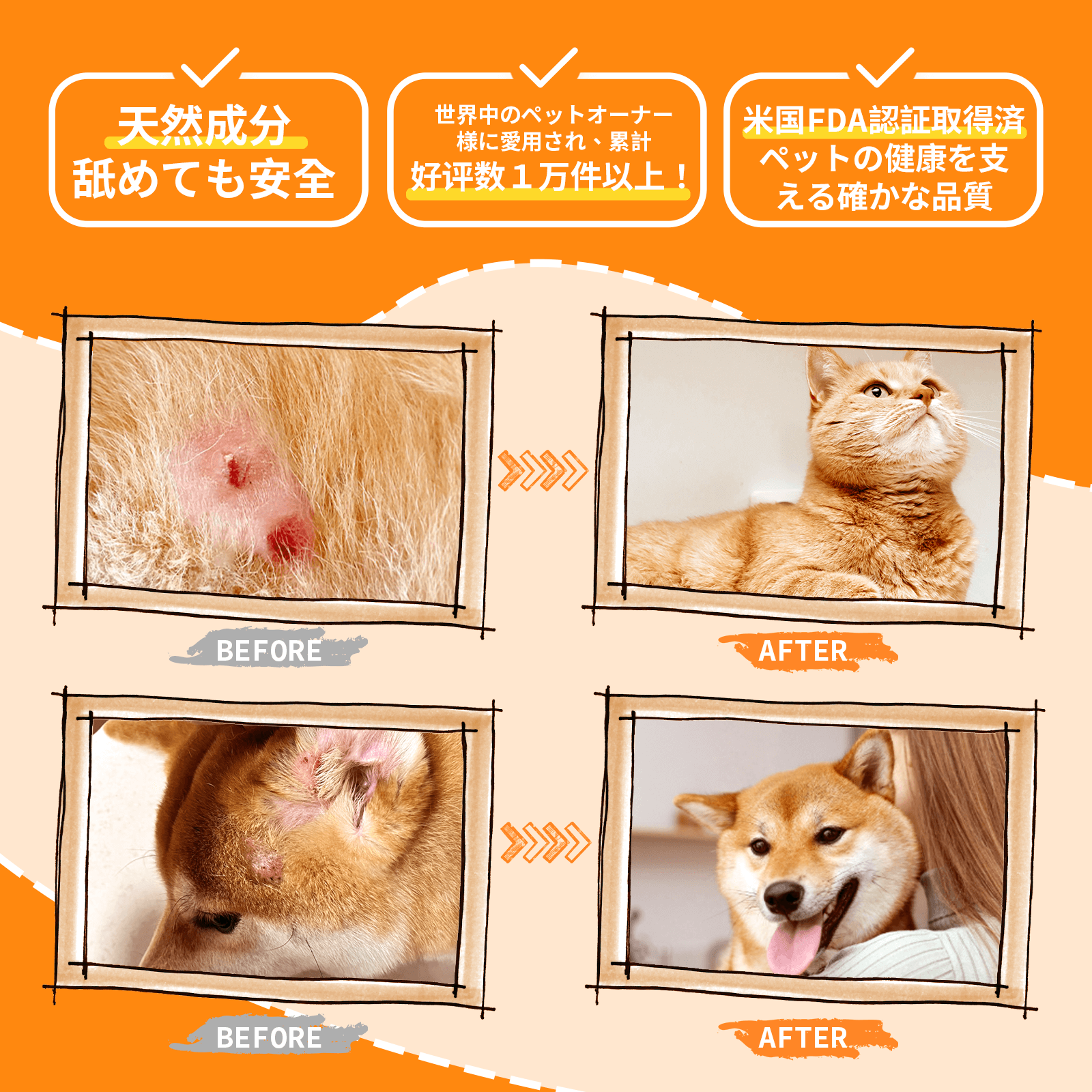 プアインタペットスキンケアセット：Banovシャンプー＋量子銀スプレー