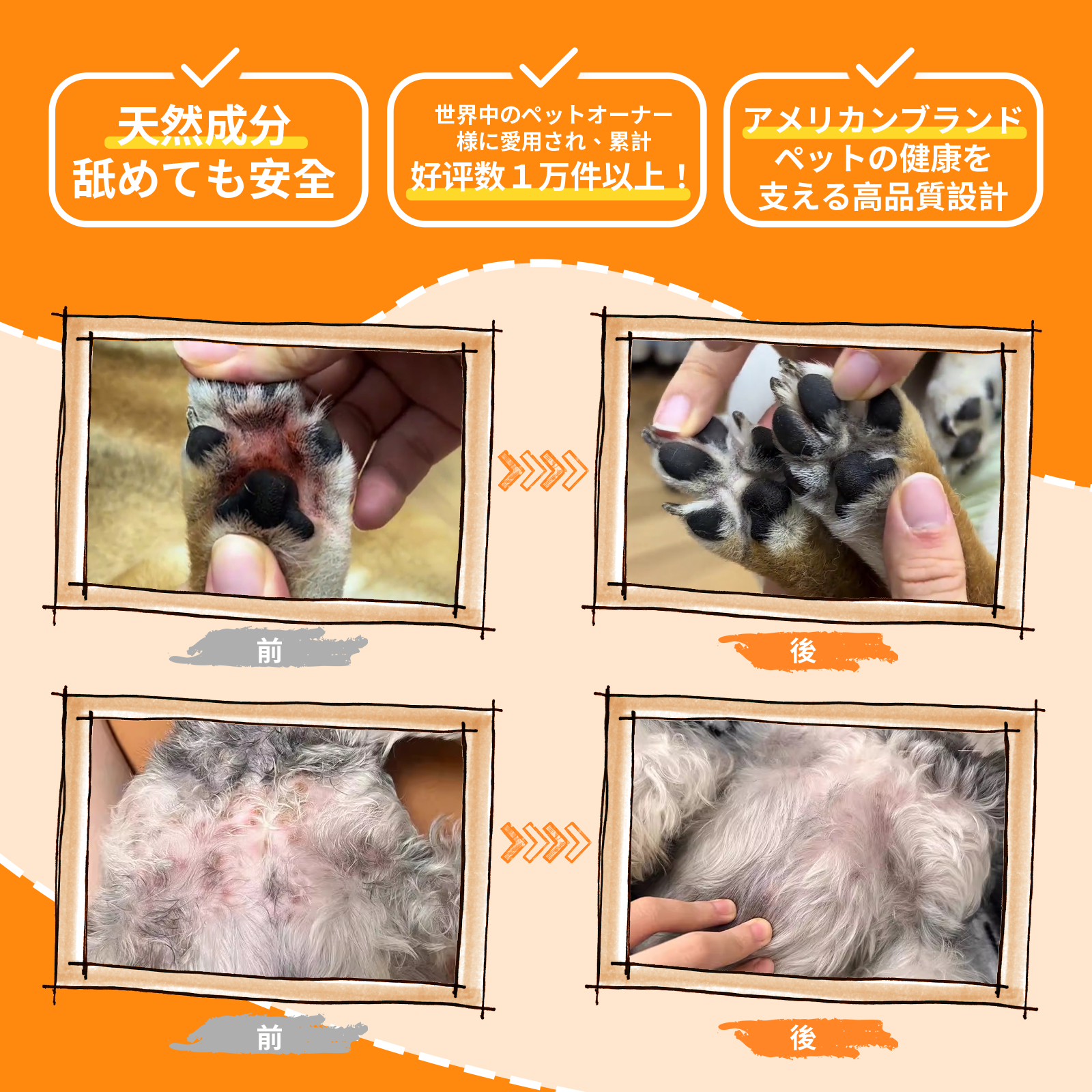  プアインタ 量子銀 ペット スキン スプレー