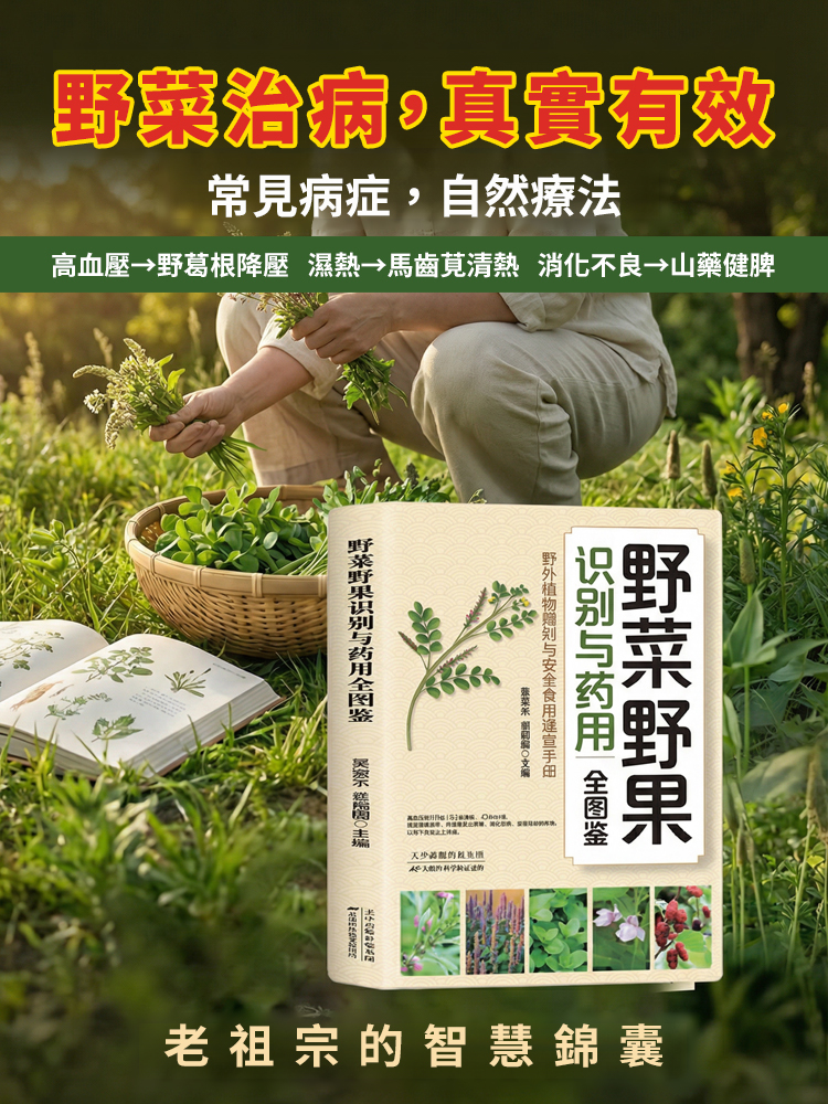 【不吃藥百病消】野菜野果圖鑑