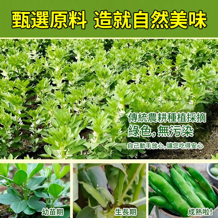 綠新無殼蠶豆