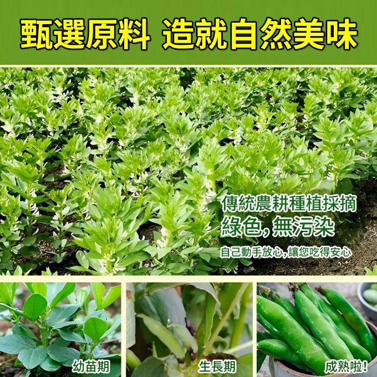 綠新無殼蠶豆