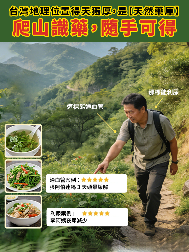 【不吃藥百病消】野菜野果圖鑑
